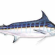 Illustration for article titled Blip: AMC Picked A Good Fish